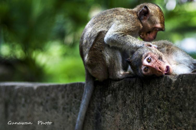 ������� ʮ��