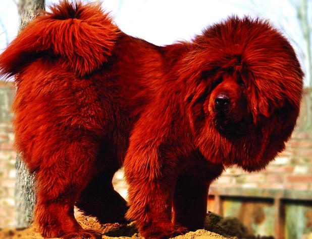 起名字怎么不走弯路 起名字怎么不走弯路