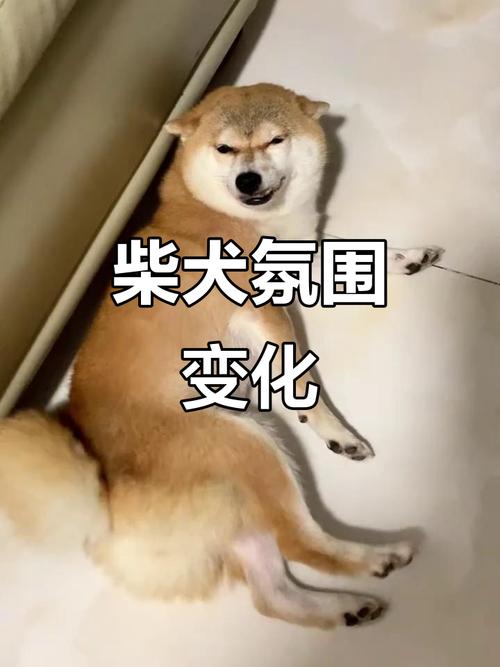 怎么起电机修理部名字土味 电机维修店取什么名字 怎么起电机修理部名字土味 电机维修店取什么名字