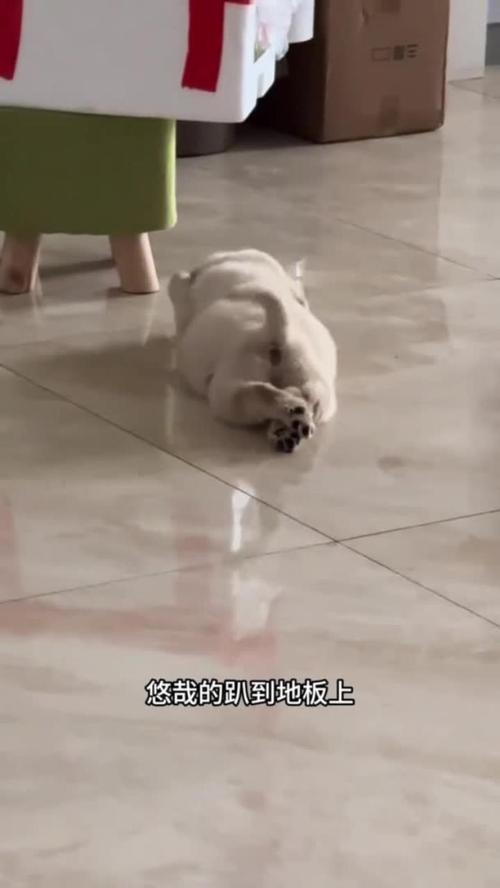 ʾ໥֧ǷܳҸ(ܷԤʾ໥ֵ֧ļ)