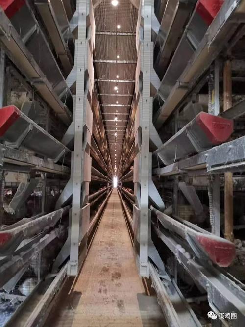 꼦Ф뻢ФǷǱڵĳͻͲг