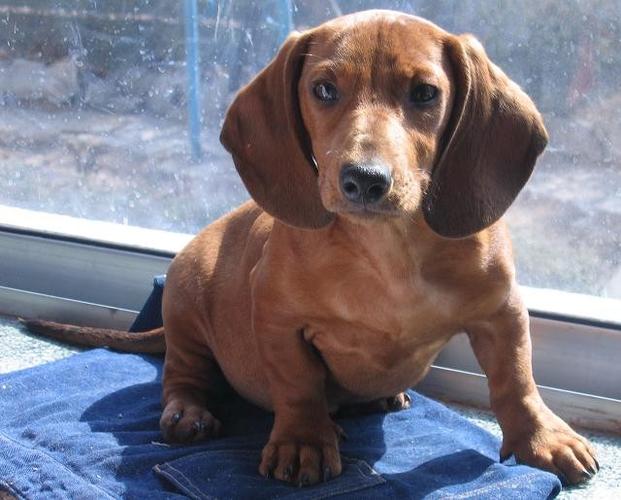 吕祖78灵签_个人梦想之旅是否顺遂(吕祖78灵签个人梦想远行签该担忧吗) 吕祖78灵签_个人梦想之旅是否顺遂(吕祖78灵签个人梦想远行签该担忧吗)