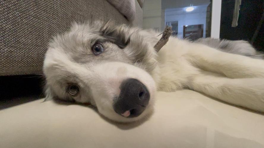 �����Ϲ���˭�Ǹ�ʲô��