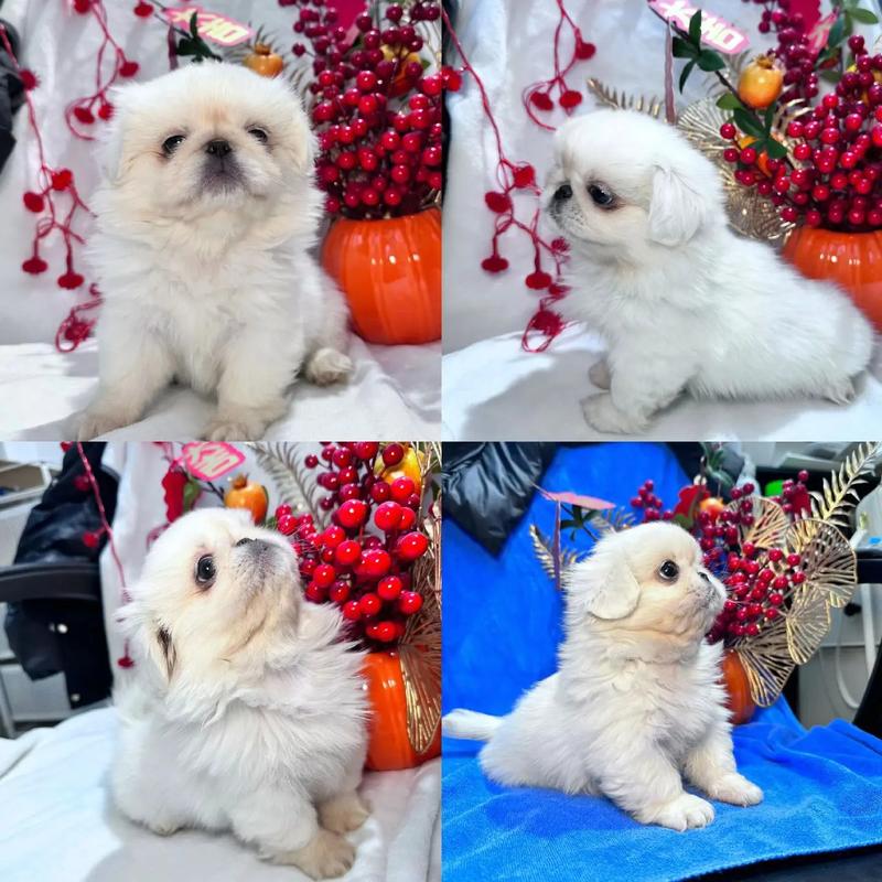 ������ת����ָ���ֵܽ���������ʲô��ϵ��(������ת����ָ�Ƿ����ֵܽ��������й�ϵ��)