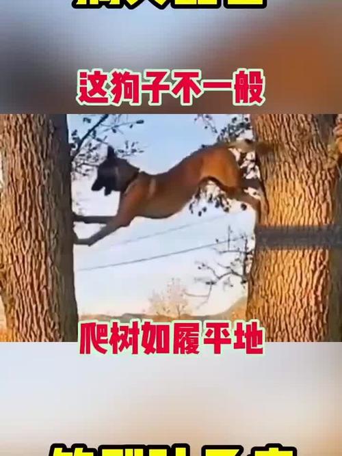 ��������ÿ������ 2025��2��27��12�������Ʋ���