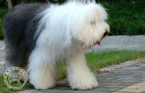 �����Ϲ��������Ͻ��ܡ����š����Ǻ�Ů����