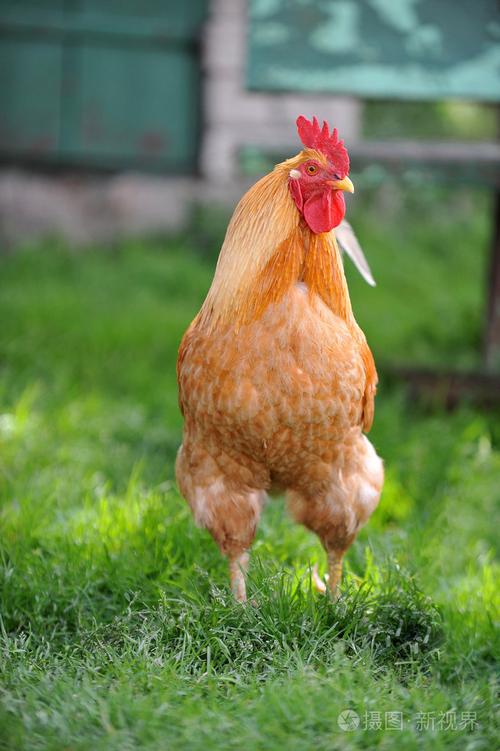 8月13日生日配对是否真的能影响两人未来的情感走向和幸福程度让人不禁担心的地方是什么呢 8月13日生日配对是否真的能影响两人未来的情感走向和幸福程度让人不禁担心的地方是什么呢