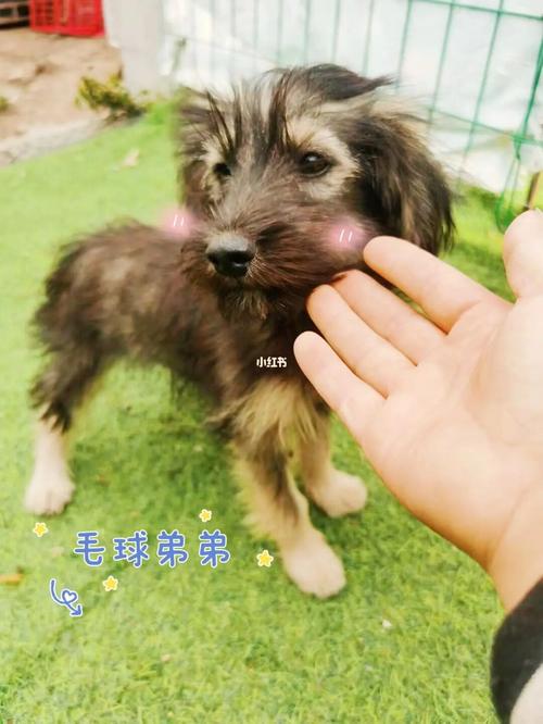 ����2025�°�����ҵ �����°�������2025��ʲô��˼��