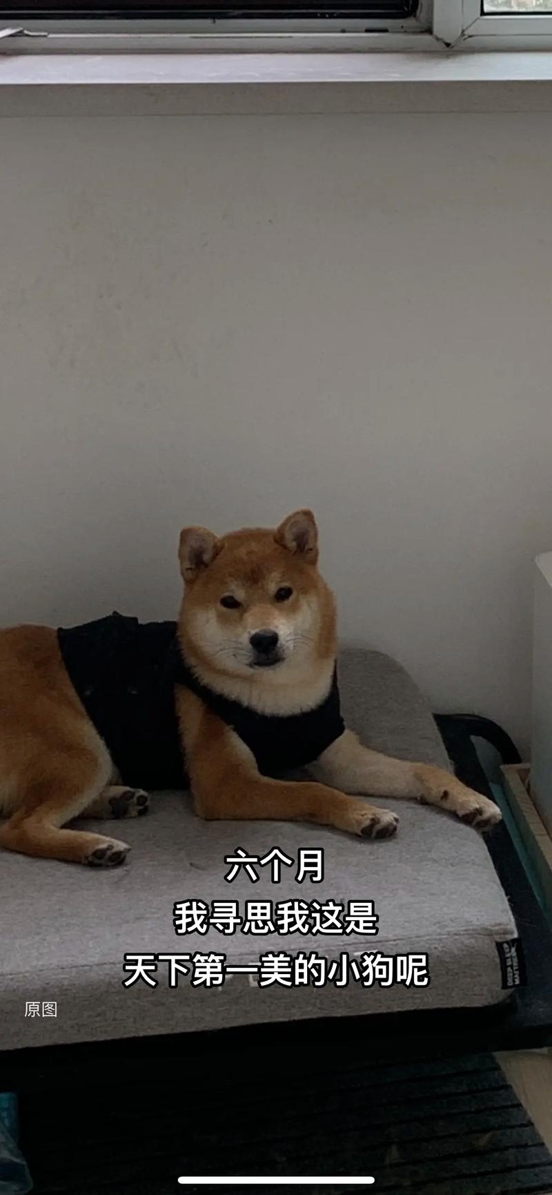 关帝灵签++3父母职业前景如何令人担忧吗(关帝灵签++3父母职业是否顺遂) 关帝灵签++3父母职业前景如何令人担忧吗(关帝灵签++3父母职业是否顺遂)