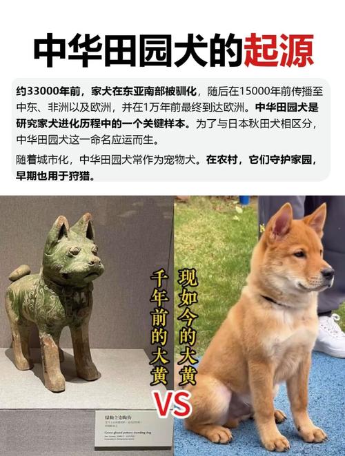 属虎人最苦命的出生日 74年属虎47岁有一灾202 属虎人最苦命的出生日 74年属虎47岁有一灾202