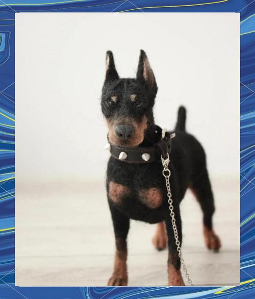 ����������������� ���������������Ա