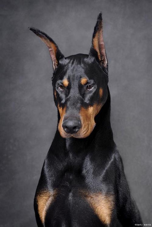 ��;�е���Ե�Ƿ�������䶯���ı�������ǩ��ǩ��ȫ1(����������ǩ��ǩ��ȫ1������ƫ���к���ʾ)