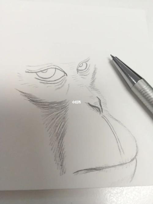 林俊杰身高真实身高 林俊杰身高 林俊杰身高真实身高 林俊杰身高