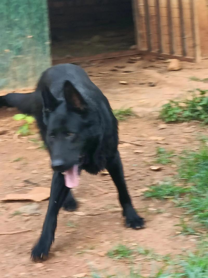 属龙的女人生在冬天好吗 属龙的女人会出轨吗 属龙的女人生在冬天好吗 属龙的女人会出轨吗