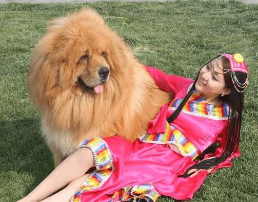 ƹǩ99ǩ_Ƿ񰵲(ƹǩ99ǩ)