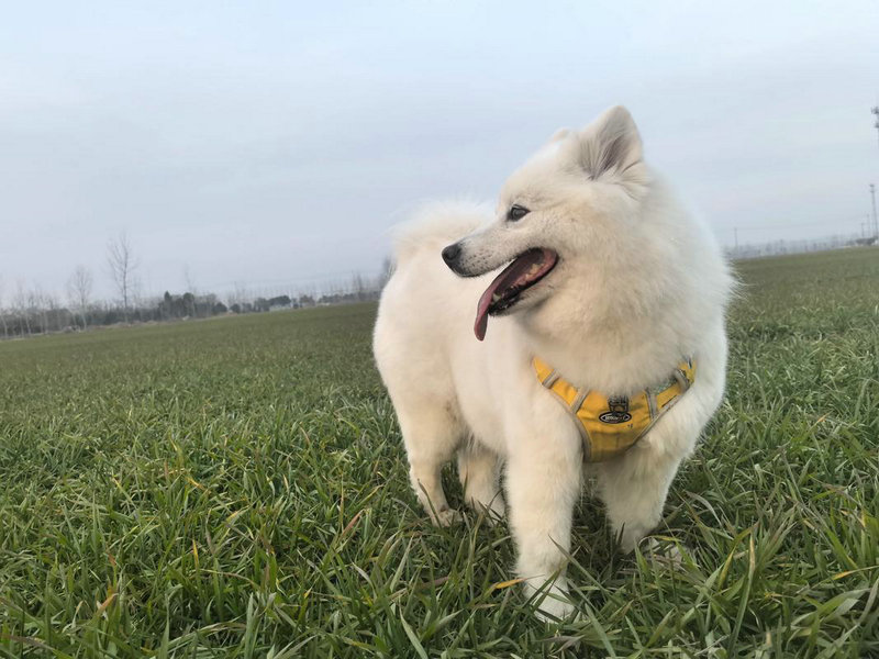 淘宝化妆品店取名宝典免费 淘宝化妆品店取名宝典免费