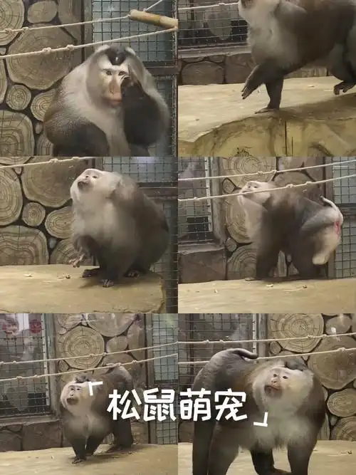 陆娟全国同姓同名同名同姓为何让信任变得困难(陆娟全国同姓同名同名同姓带来的信任危机是否令人担忧) 陆娟全国同姓同名同名同姓为何让信任变得困难(陆娟全国同姓同名同名同姓带来的信任危机是否令人担忧)