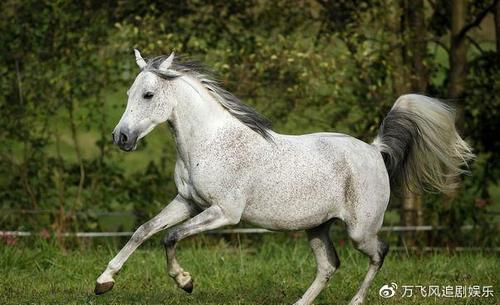 ɼɼ����ȫ��������_ɼɼ��������ȫ��