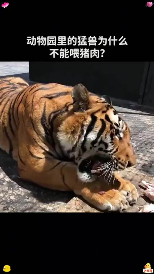 紫微斗数兄友线落陷 紫微斗数兄友线落陷