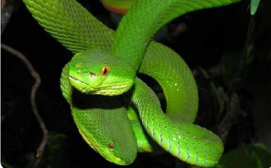 �·�װ�޷�ˮ����ͼ��(������ˮ����ͼƬͼ���ȫ)