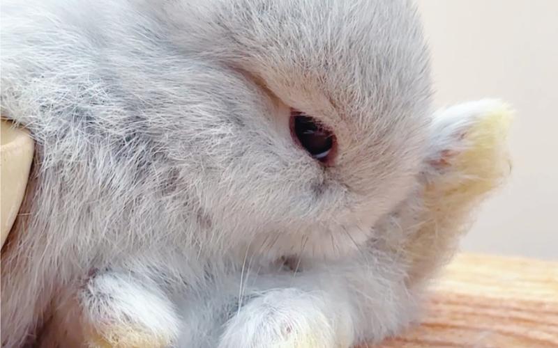 1893年属什么 1893年属什么