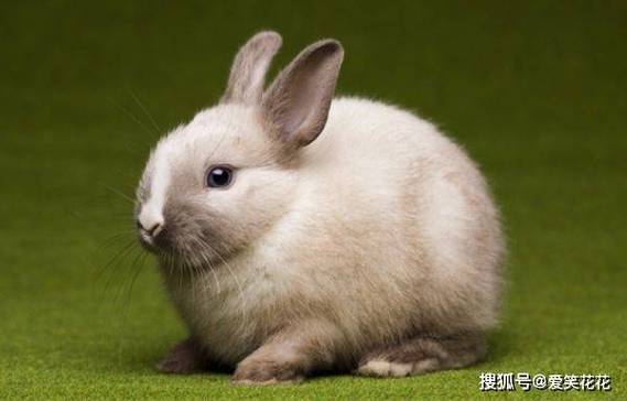 ������2025�¾� ����������Ʒ