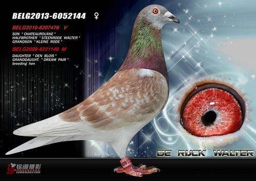 �λ�֮�ñ���ȫ�������������һ������