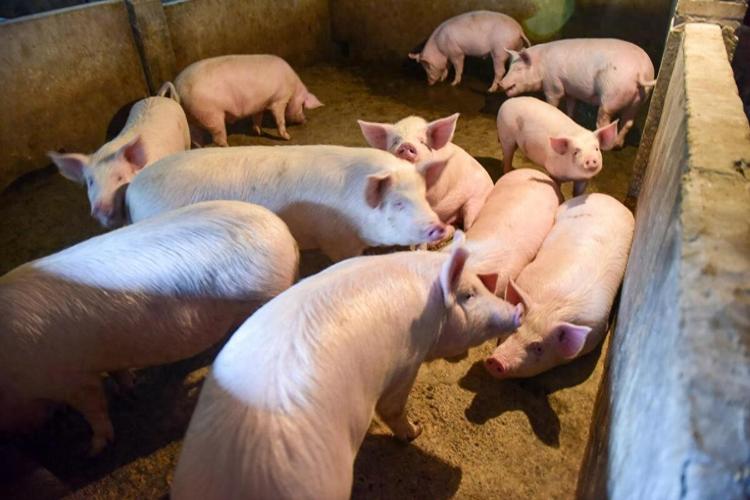 �����������ʮ��ǩ���� ��������ʮ��ǩ��ʲô��˼