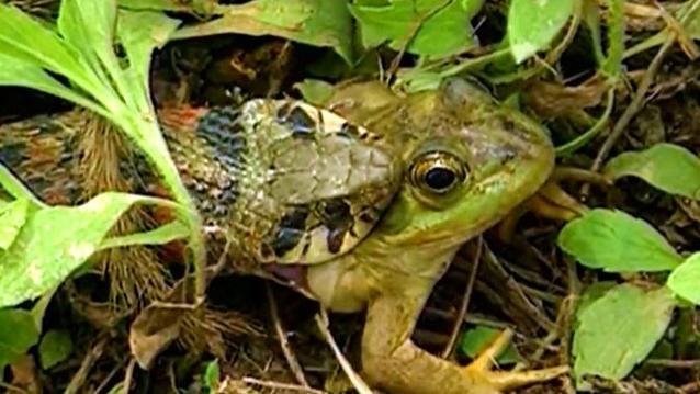 �������˺�����Ů��������