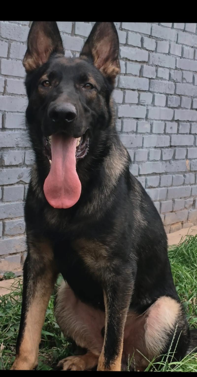 小众古老有深意的网名(汪苏泷生辰八字) 小众古老有深意的网名(汪苏泷生辰八字)