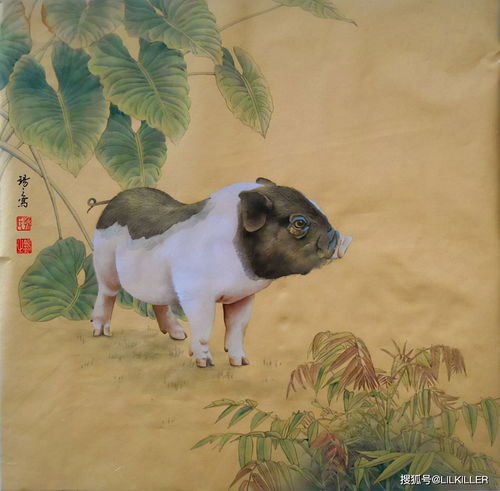 十二生肖的星座排列表 十二生肖星座查询表 十二生肖的星座排列表 十二生肖星座查询表