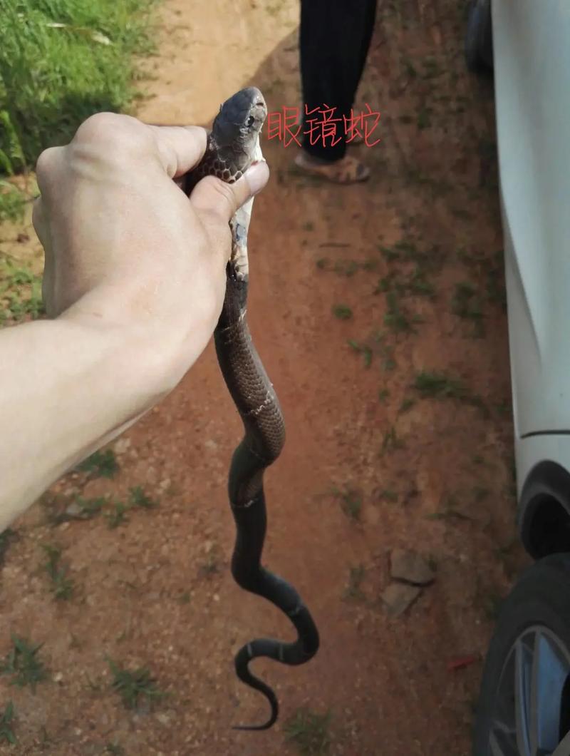 �ܹ�����֮��޶����ѿ�ȷ���Ԣ�����