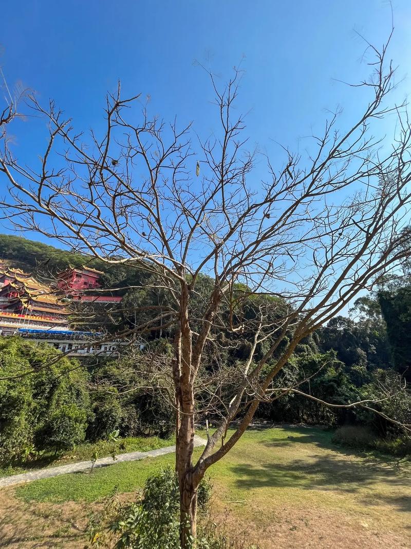 ǩڶʮǩΪλǿ(δӲǩڶʮǩ)