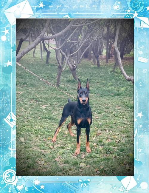 ���ȵ������ɷ����� ���ȵ��ɷ��Ǹ�ʲô��