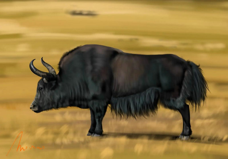 공ƺ뼪Ӱ쳵ƲѯƼײѯıҪ̽