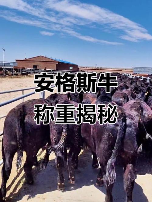 ������������ţ��������ڷ������ҵ��ʺϵ����ֶ�����ʧ����(�����׷������Ϊ������������ţ������������)