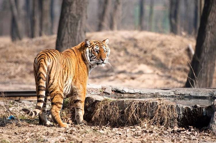 ��Ա�������������ϼ��