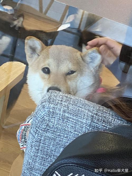 ��լ�б��ޱ���ʲô��ϵ