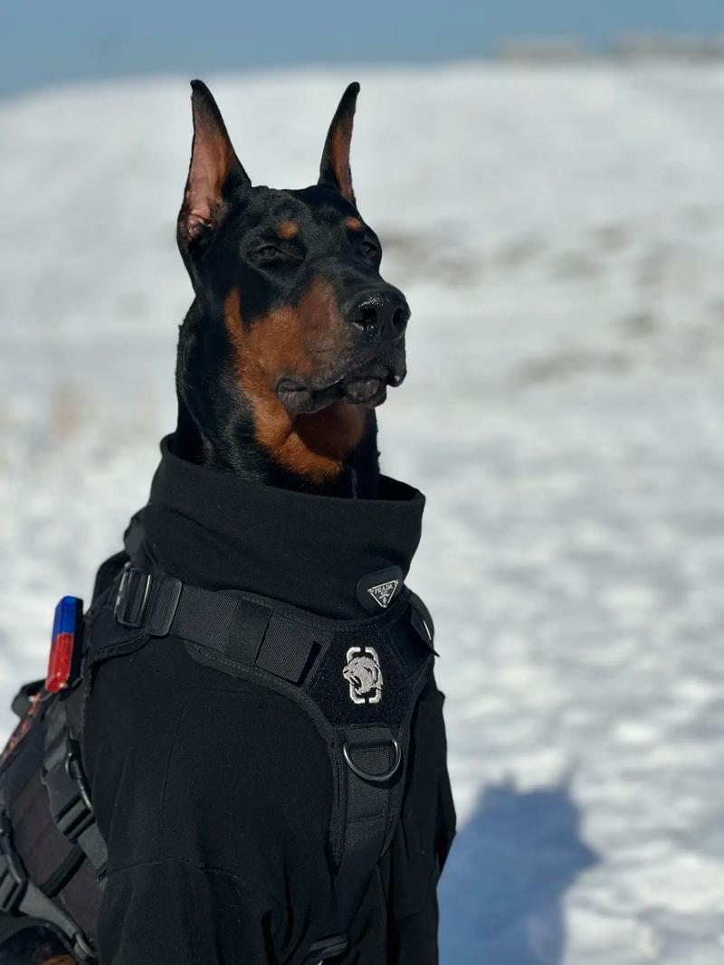 2025��11������Ĳ���