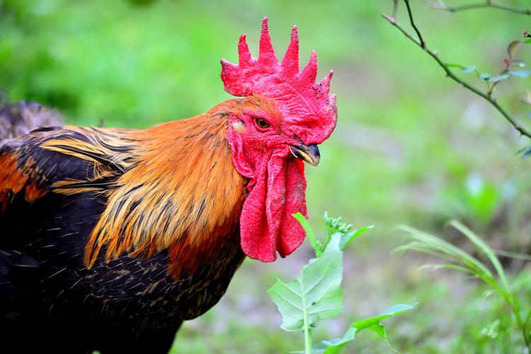 ���ҵķ�ˮ_���뻷�����о������ʹ�������ڡ�