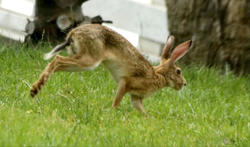 奉继前同名同姓配偶身高会影响婚姻吗(奉继前同名同姓的配偶身高是否影响幸福生活) 奉继前同名同姓配偶身高会影响婚姻吗(奉继前同名同姓的配偶身高是否影响幸福生活)