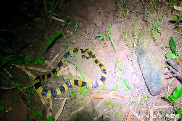 ����������ô����ֻ����Ƿ���Ļ�Ӱ�����ǵ����ƺ��������������Ƿ�Ҳ�Դ˸е�����Ͳ���