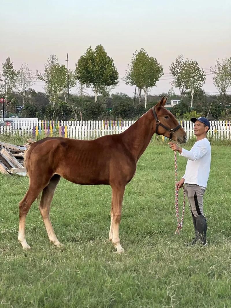 2021Ӣôȡ ôȡһʺԼӢ