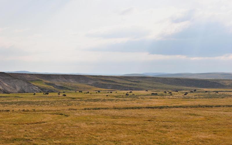 王自健现在的状况如何曾今大火的脱口秀节目 王自健现在的状况如何曾今大火的脱口秀节目