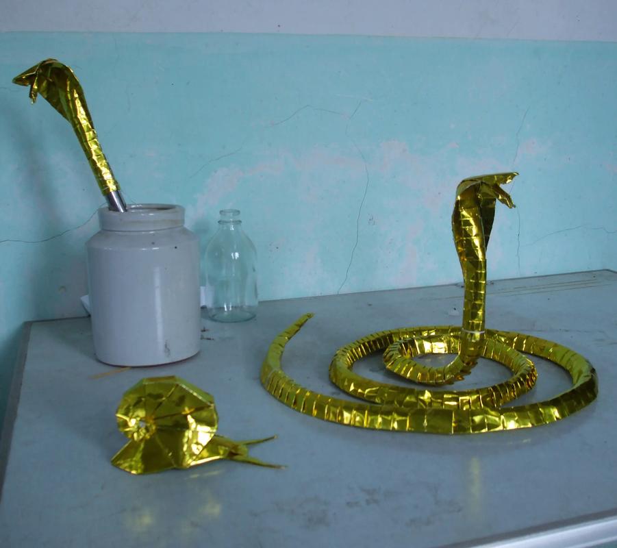 ��������е���ż����״���Ƿ����˵���(��������е���ż����״���Ƿ����˵���)