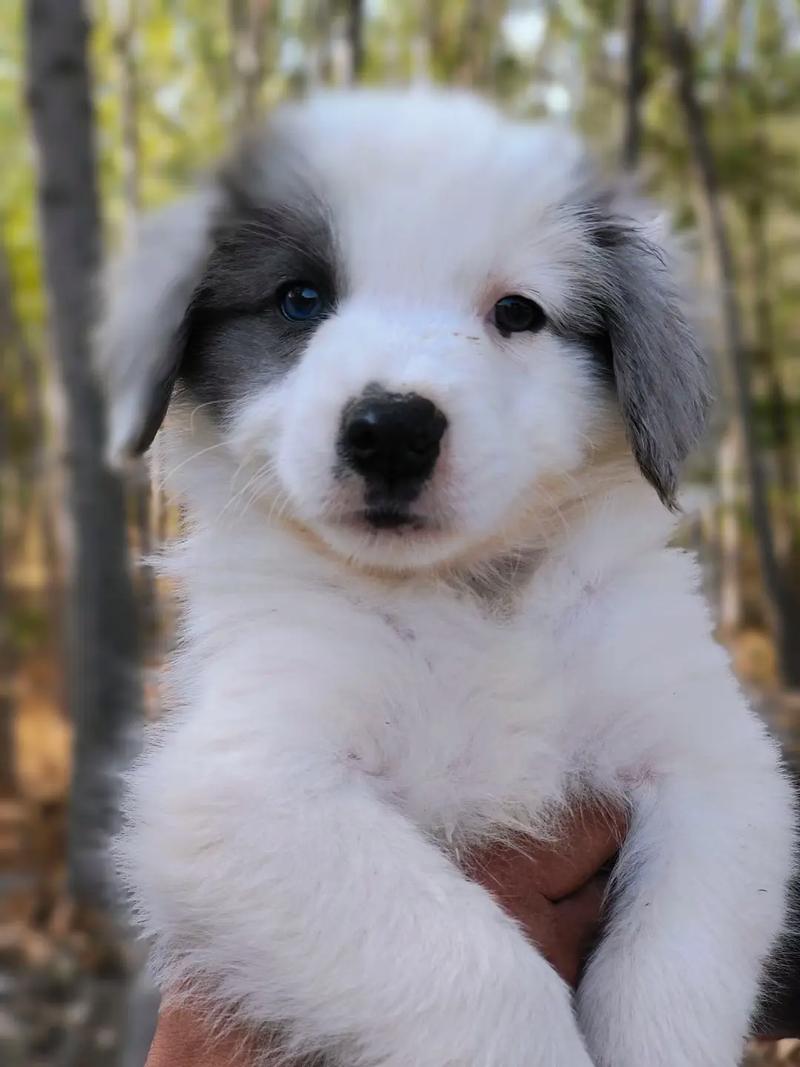 �����ͬ��ͬ���Ƿ�����ܴ�������ĳ����ȶ�(�����ͬ��ͬ���Ƿ����ܴ���������ϵ���ȶ����Ҹ�)