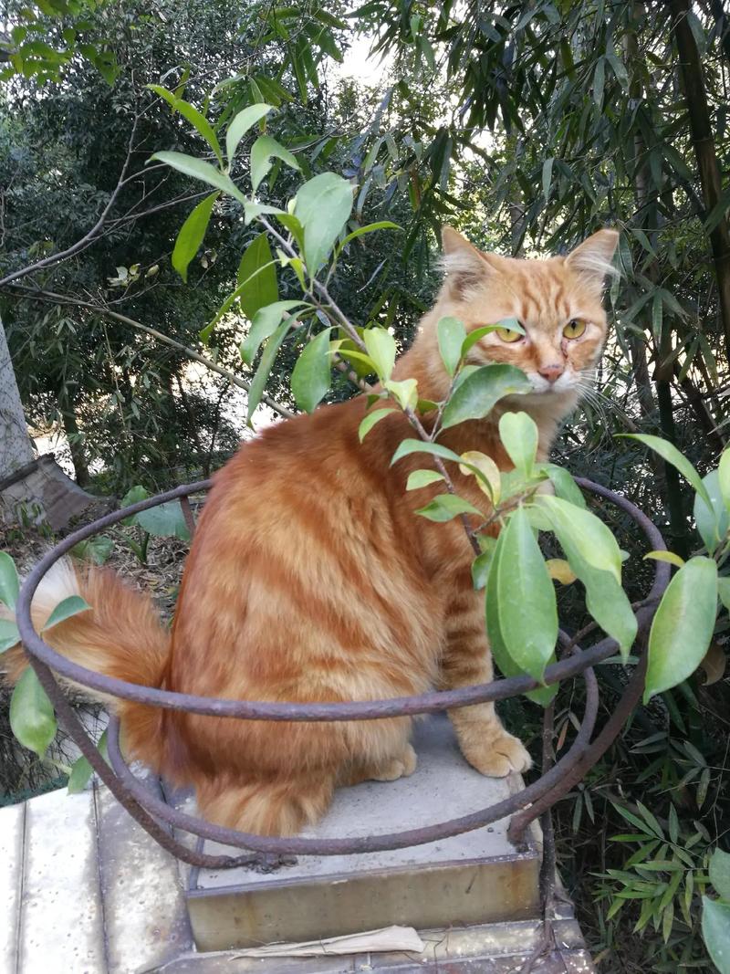 ܰжл(ǷӰǵлѡ)