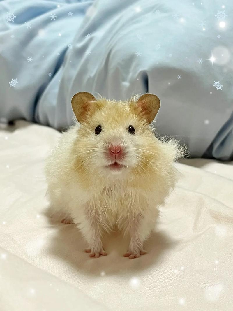 ������ľ������˷�λ ����2024���˷�λ��ʲô��˼��