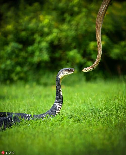 十二星座每日运程星座 十二星座上升星座查询 十二星座每日运程星座 十二星座上升星座查询