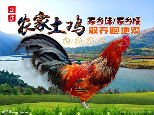 属牛男孩出生的更佳时辰 属牛最命苦的时辰 属牛男孩出生的更佳时辰 属牛最命苦的时辰